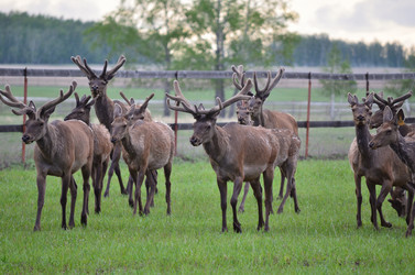 Similar image 21806062