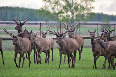 Similar image 21806063