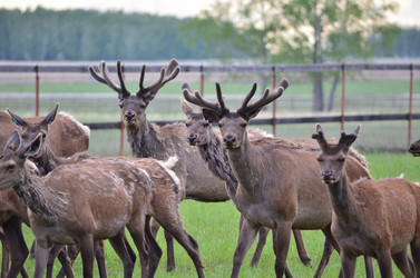 Similar image 21806065