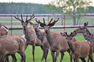 Similar image 21806070