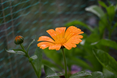 Similar image 21805661