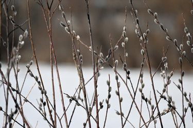 Similar image 21805662