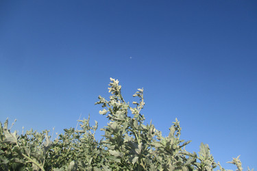 Similar image 21807616