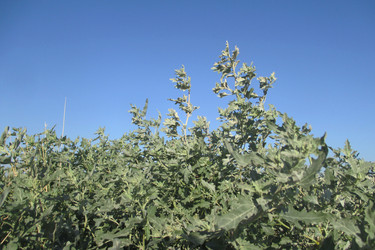 Similar image 21807617