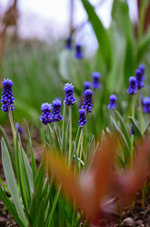 Similar image 21807024