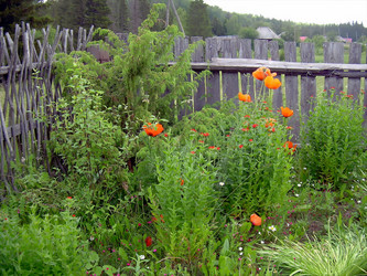 Similar image 21806095