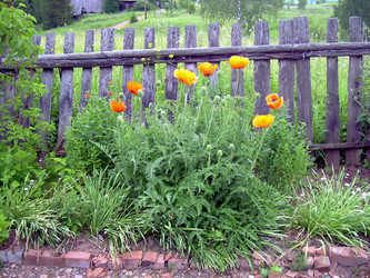 Similar image 21806097