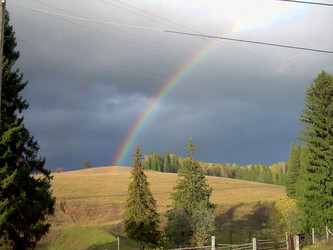 Similar image 21806101