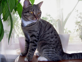 Similar image 21806102