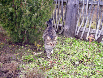 Similar image 21806103