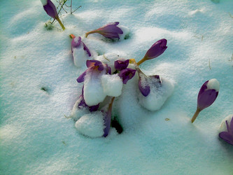 Similar image 21806105