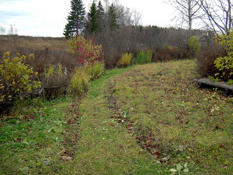 Similar image 21806107