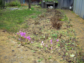 Similar image 21806111