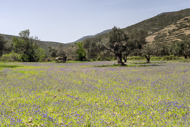 Similar image 21809931