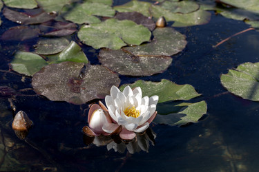 Similar image 21808492