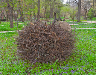 Similar image 21805747