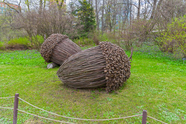 Similar image 21805749