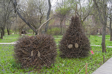 Similar image 21805750