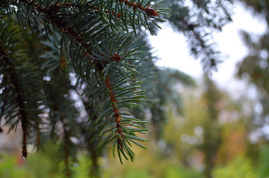 Similar image 21805753