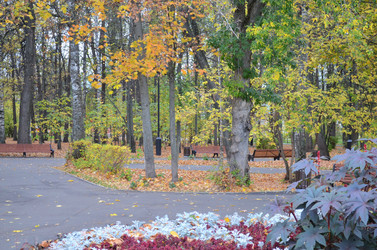 Similar image 21805754