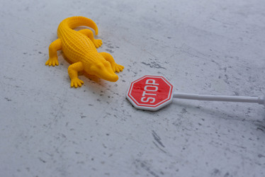 Similar image 21807659