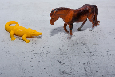 Similar image 21807661