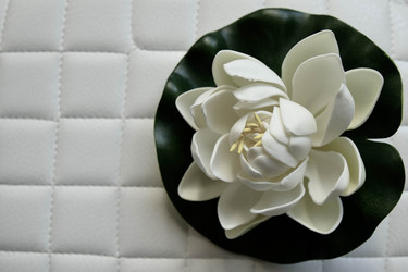 Similar image 21807663