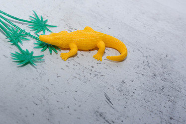 Similar image 21807667