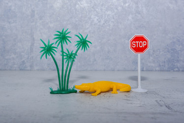 Similar image 21807669