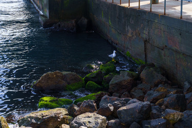 Similar image 21812192