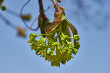 Similar image 21805758