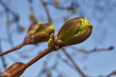 Similar image 21805759