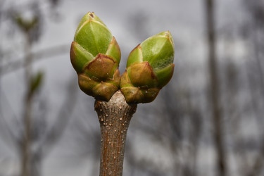 Similar image 21807045