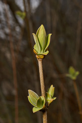 Similar image 21807049