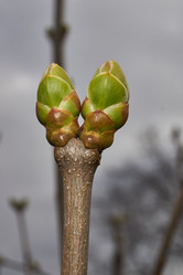 Similar image 21807050