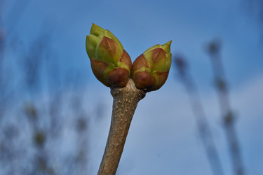 Similar image 21807051