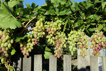 Similar image 21807062