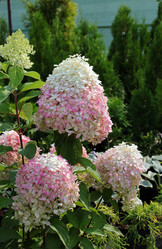 Similar image 21807064