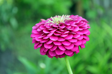 Similar image 21807066