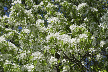 Similar image 21807069