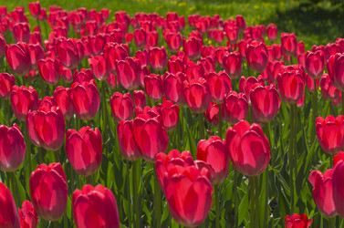 Similar image 21807070