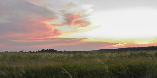 Similar image 21807077