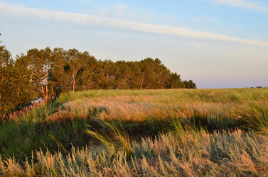 Similar image 21807202