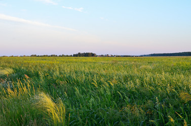 Similar image 21807204