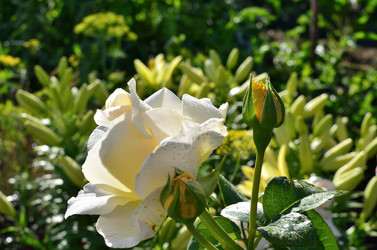 Similar image 21807207