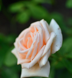 Similar image 21807217