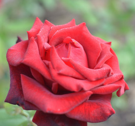 Similar image 21807219