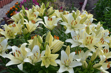 Similar image 21807220