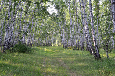 Similar image 21807221