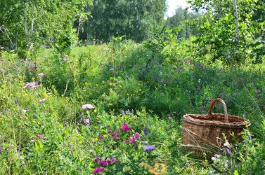 Similar image 21807222